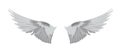 Angel wings vector stock illustration. Silver feathers. The bird flight template.